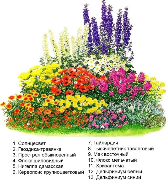 Gelbe Blumen in einem Blumenbeet