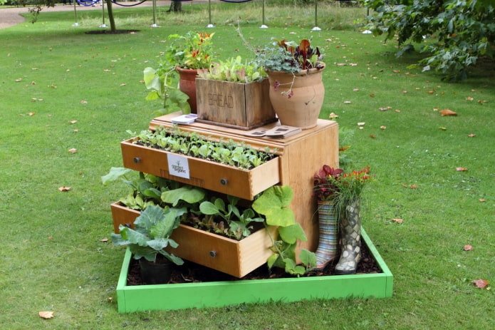 Blumenbeet in einer Kommode