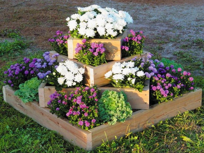 Blumenbeet in einem Blumenbeet