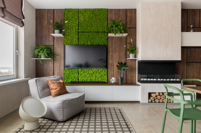 Wanddekoration mit Fernseher