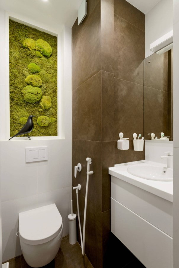 Moosplatte in der Toilette