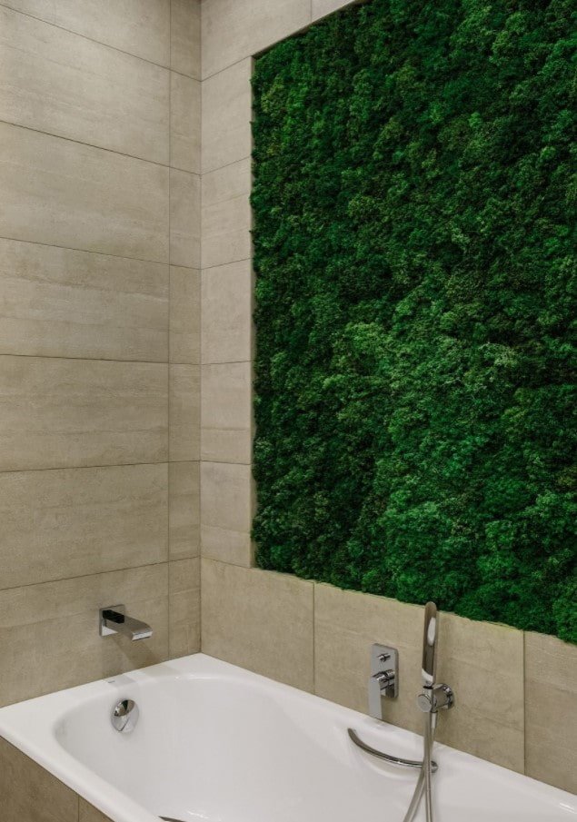 Moos über der Badewanne
