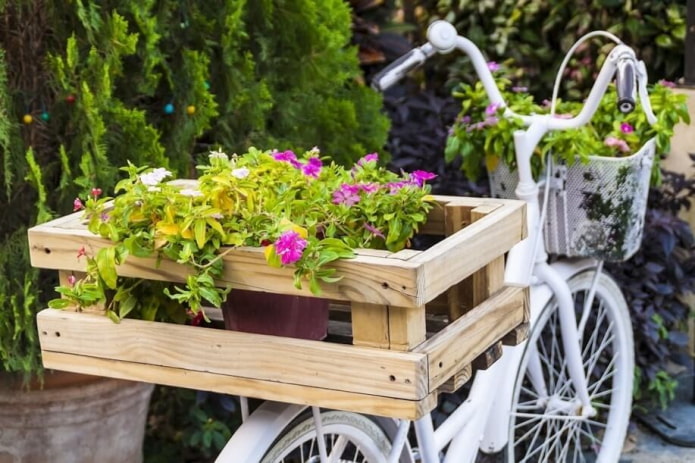 Fahrrad als Blumenbeet