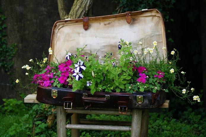 Koffer-Blumenbeet
