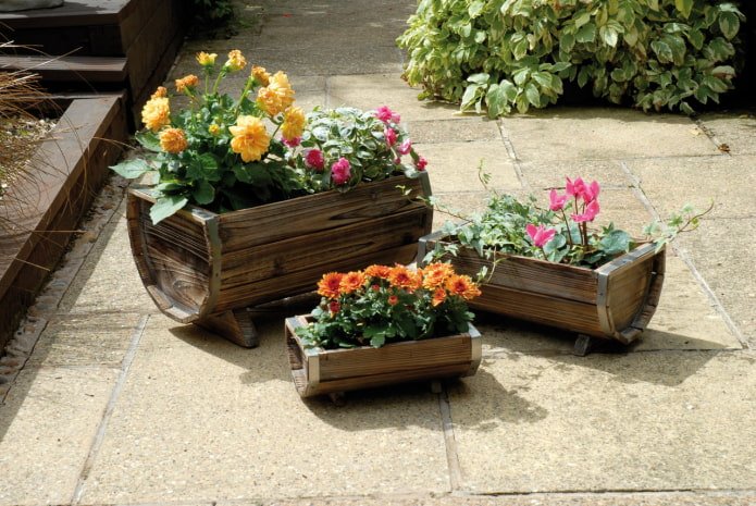 ein Blumenbeet in einem Fass