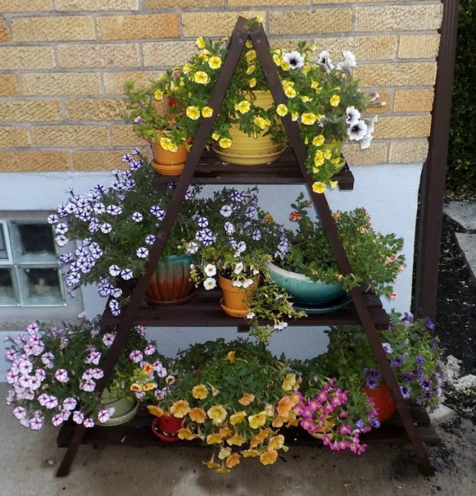 vertikales Blumenbeet