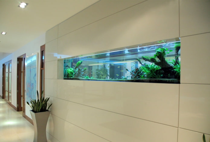 Nische mit Aquarium im Innenraum