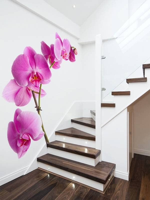 Fototapete mit Orchidee