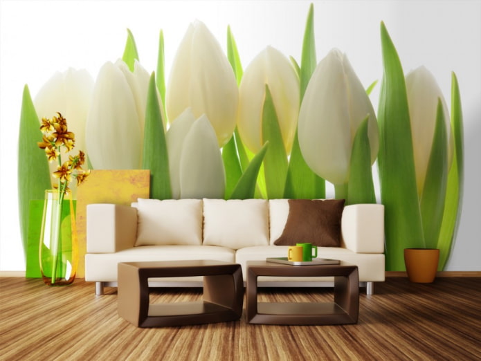 Fototapete mit Tulpen