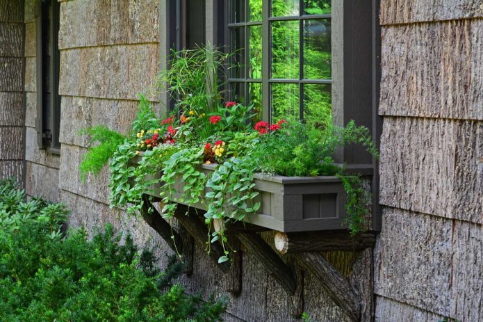 Blumenkasten