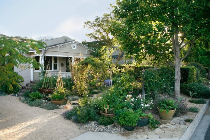 Gemüsegarten im Vorgarten