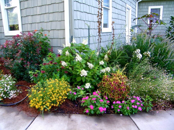 Blumenbeet neben dem Haus