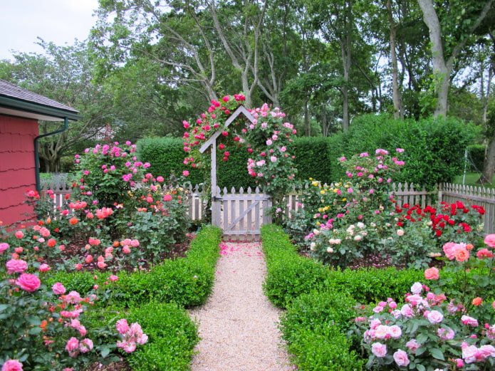 Rosengarten