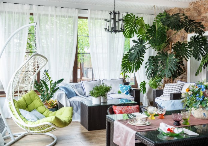 Monstera auf der Veranda