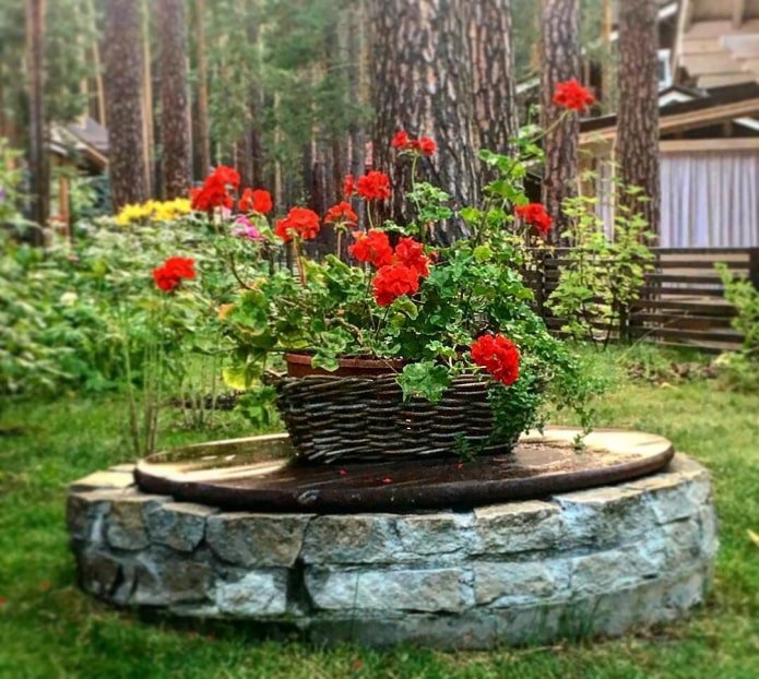 Korb mit roten Blumen auf einer Klärgrube