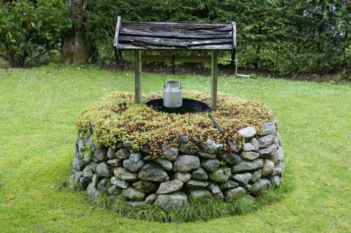 Steinbrunnen im Moos