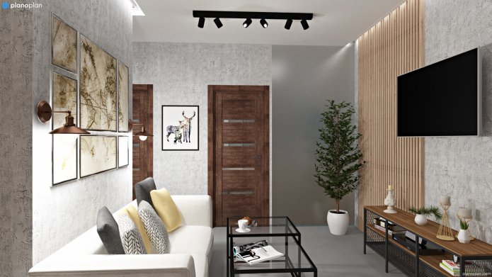Wohnzimmer mit schmalem Flur