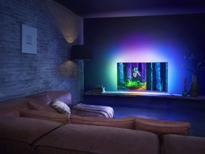 Heim-Minikino