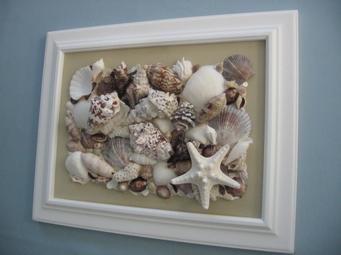 Muschelpaneel an der Wand im Innenraum