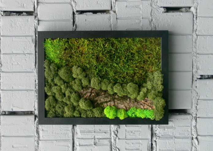 Moospaneel an der Wand im Innenraum