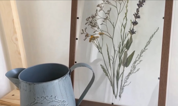 Herbarium im Innenraum