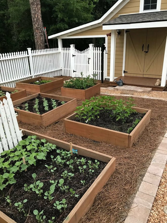 gepflegte Beete im Garten
