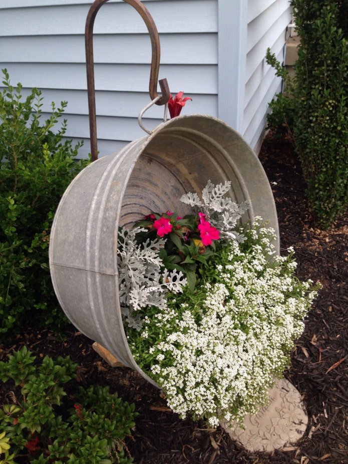 Blumen im Trog