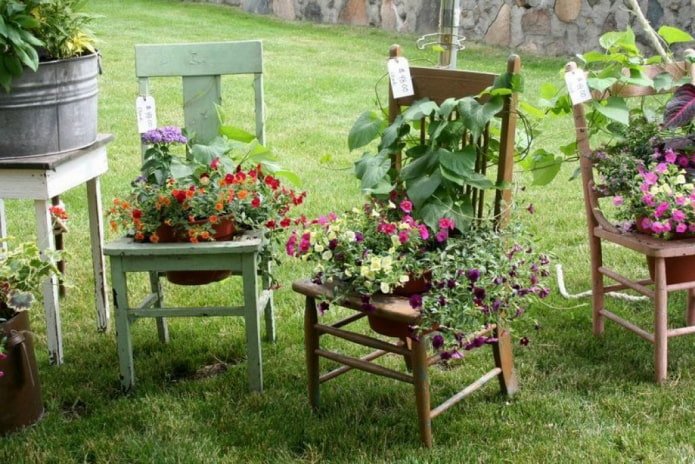 Blumen in Stühlen