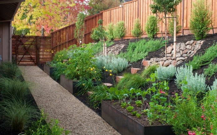 Gemüsegarten am Hang