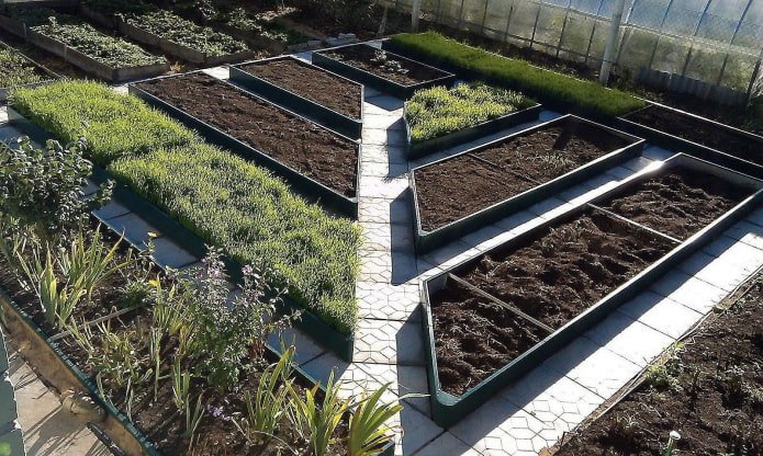 diagonaler Weg im Garten
