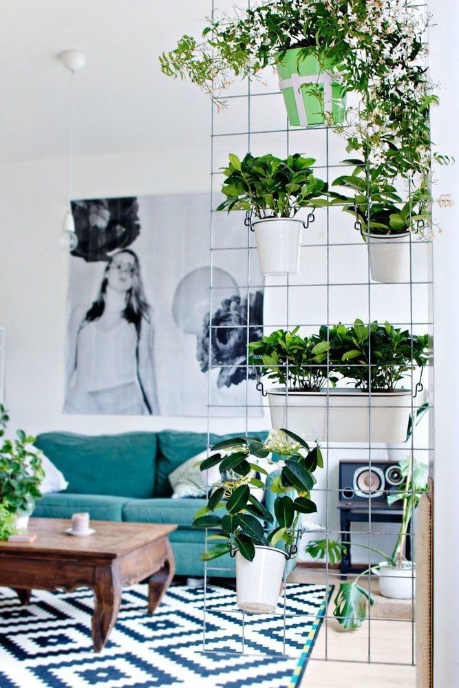 Trennwand aus Gitter und Blumen