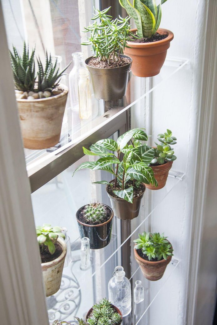 Fensterregale für Blumen
