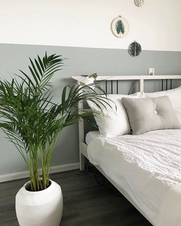 Pflanzen im Schlafzimmer