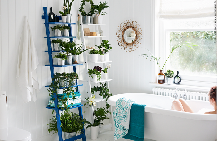 Pflanzen im Badezimmer