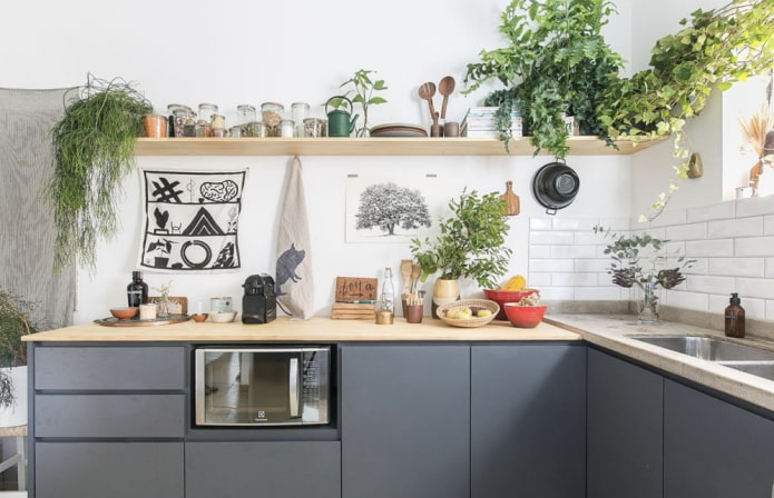 Pflanzen im Kücheninterieur