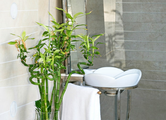 Bambus im Badezimmer