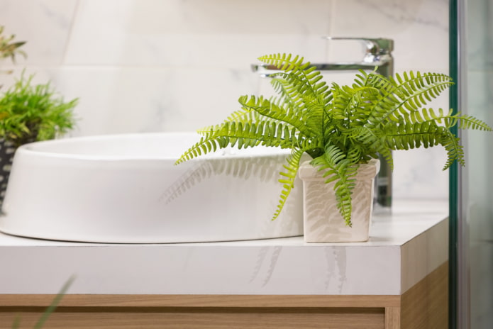 Farn für das Badezimmer