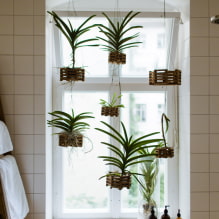 Pflanzen fürs Badezimmer-4