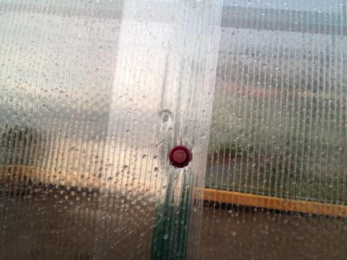 Abdichten eines Risses in einem Polycarbonat-Gewächshaus mit Klebeband