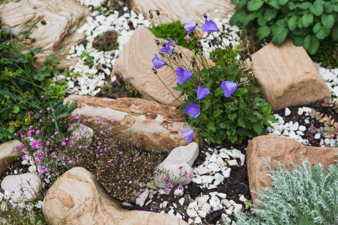 Blumen-Steingarten