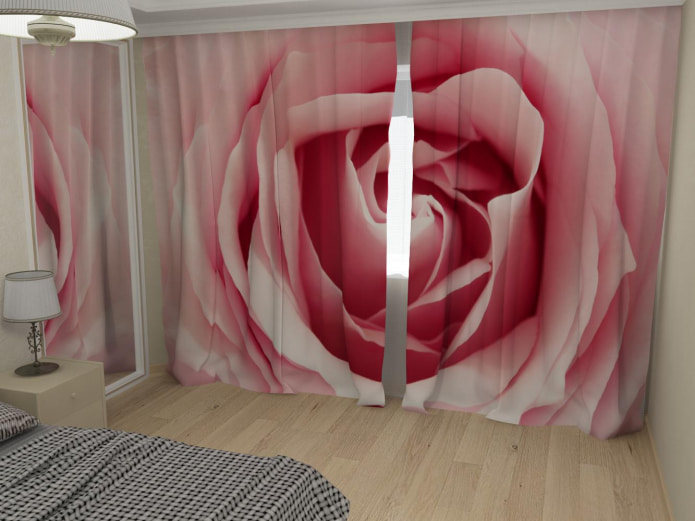 Fotovorhänge mit einer Rose
