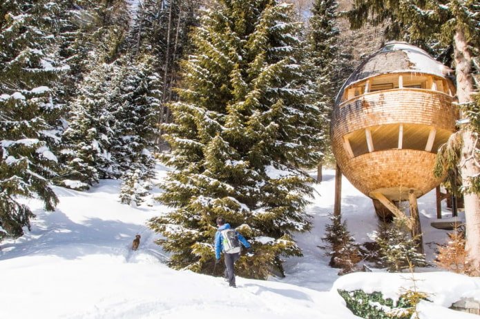 Haus Tannenzapfen in den Alpen