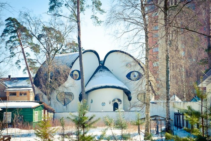Haus mit Augen in Sestrorezk