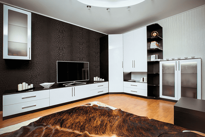 Kleiderschrank im Flur im modernen Stil
