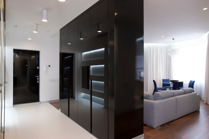 Kleiderschrank im Inneren des Flurs im modernen Stil