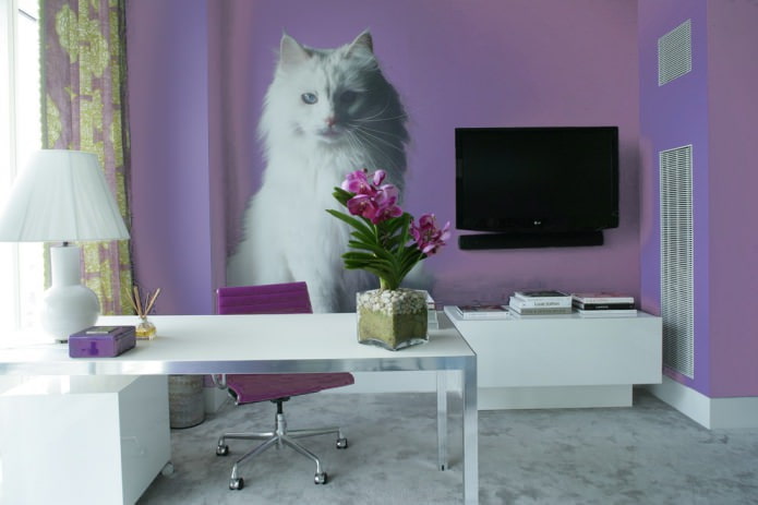 Katze an der Wand im Büro