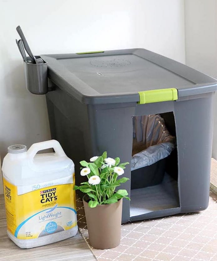 Katzentoilette aus einem Behälter