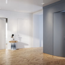 Versteckte Türen im Innenraum (Vor- und Nachteile, Fotos und Design)-5