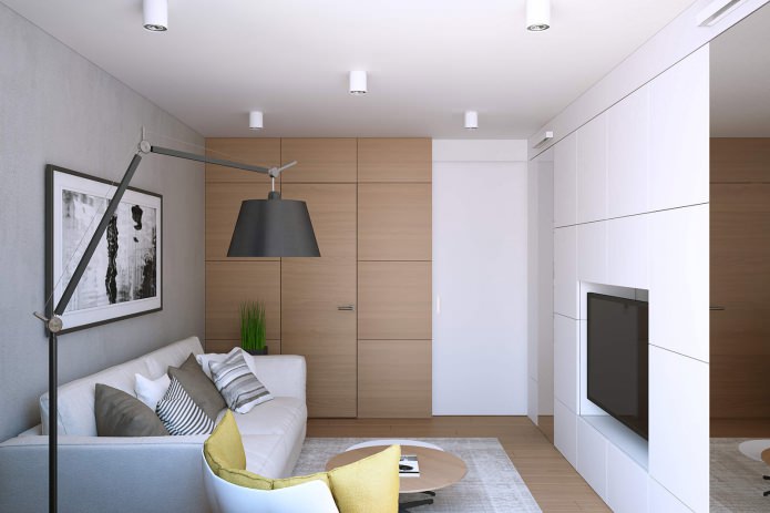 Wohnzimmergestaltung in einer 43 m² großen Einzimmerwohnung.