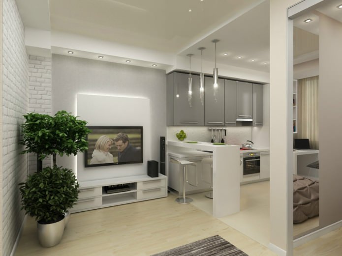 Entwurf einer Einzimmerwohnung von 45 m².